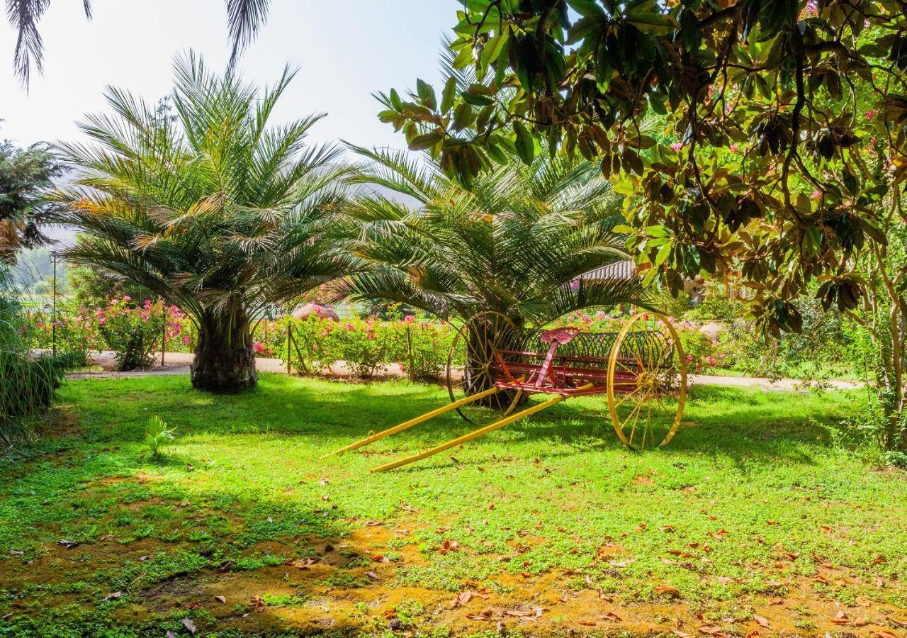 Hotel Boutique Almahue Pichidegua Exteriér fotografie